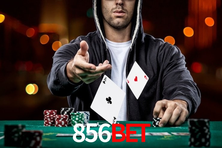 Comparação APP mobile vs versão web da 856bet