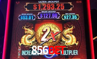 A Experiência Imersiva dos Cassinos Ao Vivo no 856bet