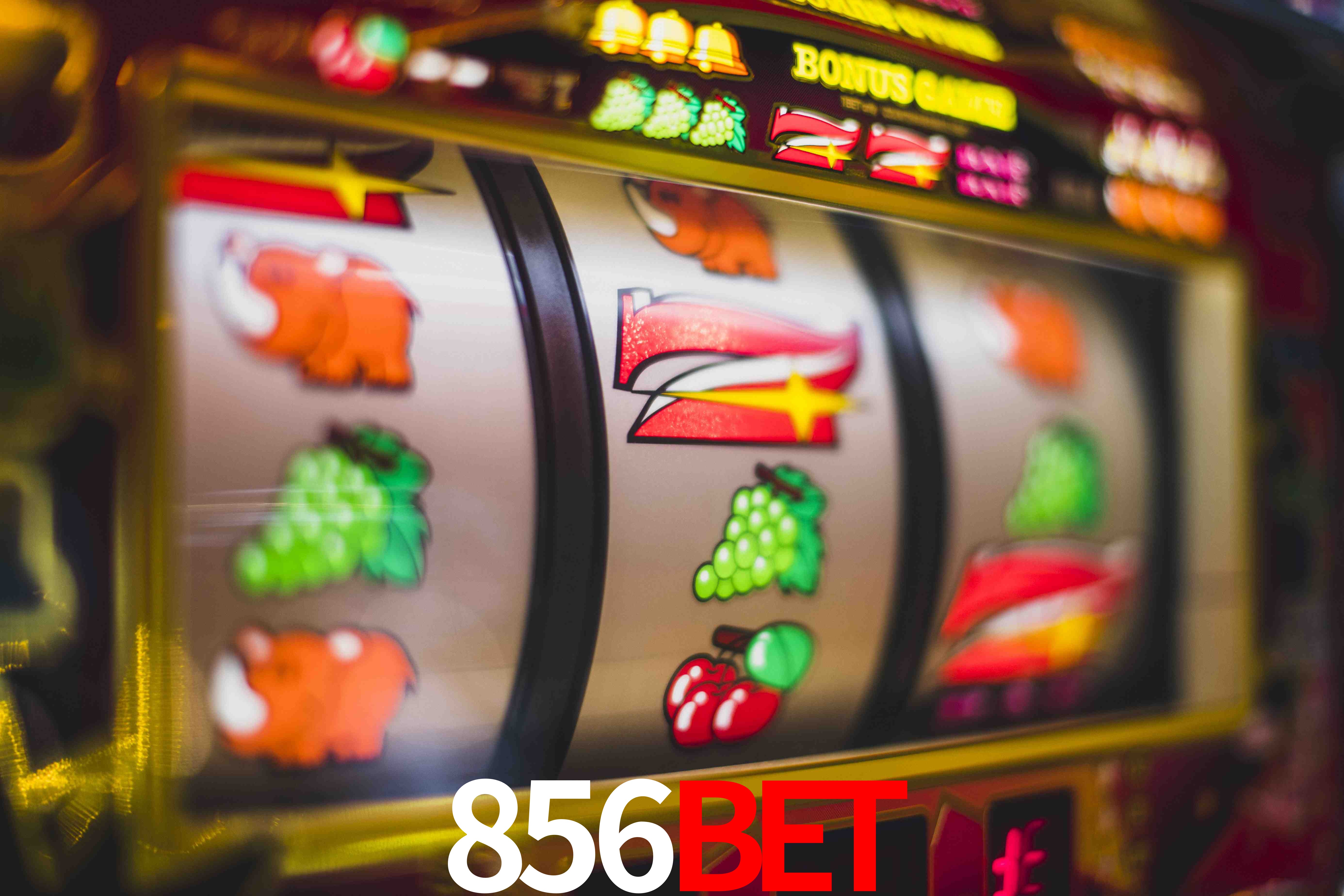 Aviator Game 856bet