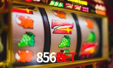 A Experiência Imersiva dos Cassinos Ao Vivo no 856bet