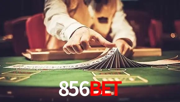 VIP Casino 856bet