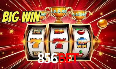 Seasonal Promotions 856bet